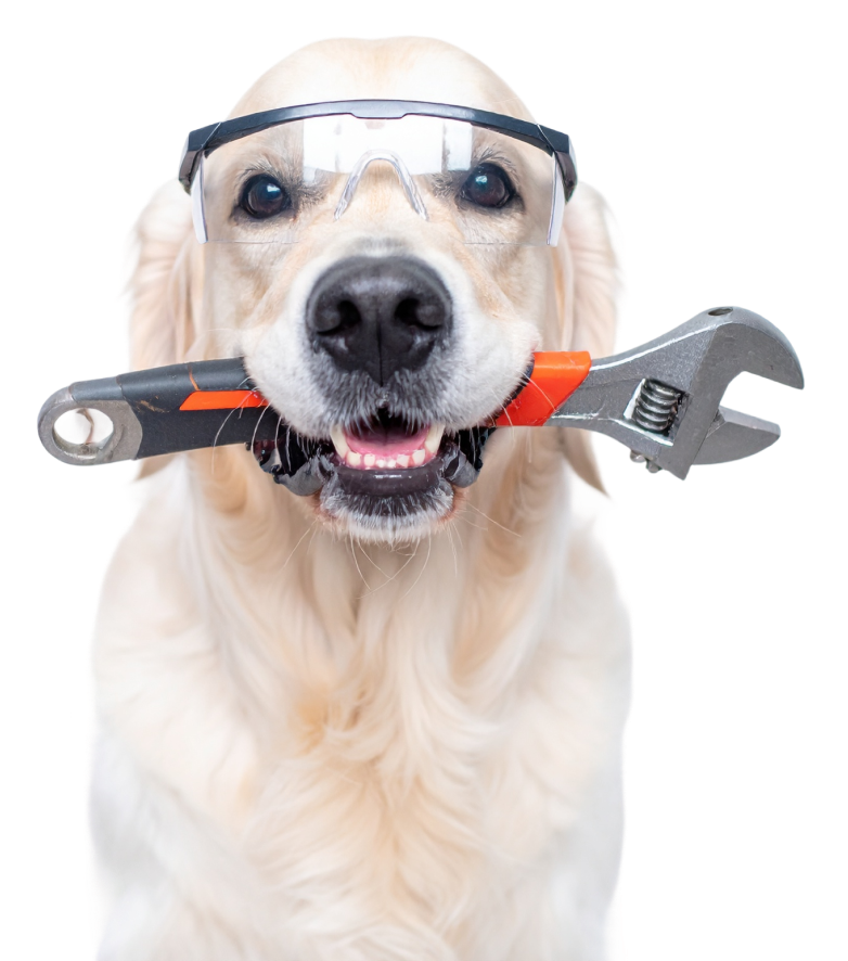 Demo Doggo in the 404 error state
